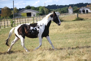<b>H&eacute;lios, 2 ans, ao&ucirc;t 2019</b>                                                             