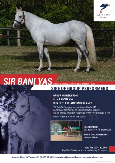 SIR BANI YAS AR