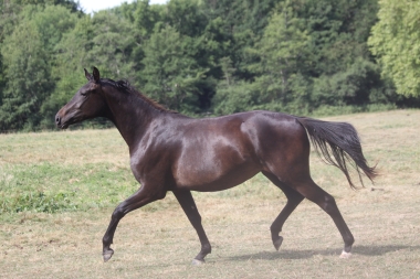 Fiona &eacute;t&eacute; 2014