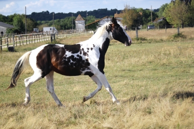 <b>H&eacute;lios, 2 ans, ao&ucirc;t 2019</b>                                                             